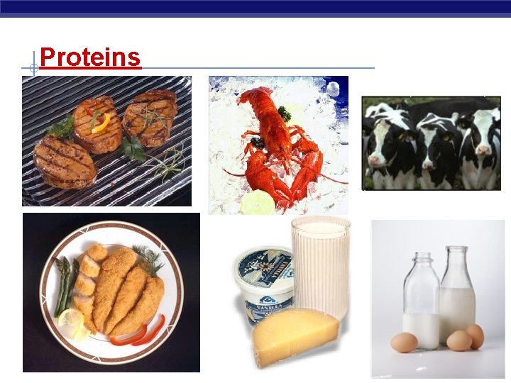 Proteins 