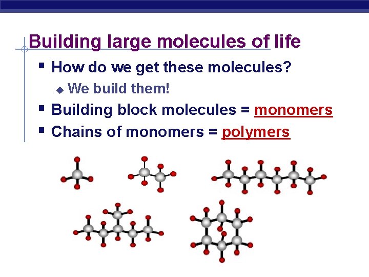 Building large molecules of life § How do we get these molecules? u We