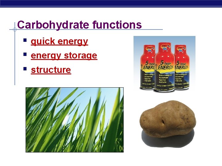 Carbohydrate functions § quick energy § energy storage § structure 
