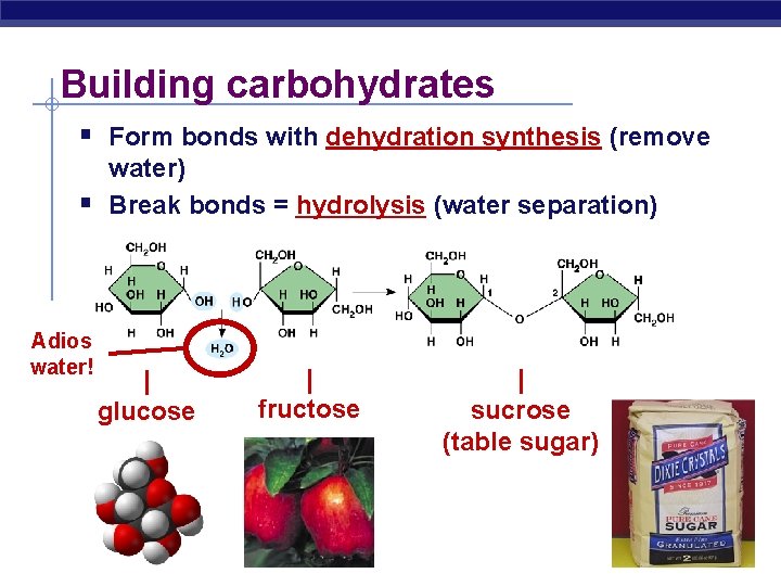 Building carbohydrates § Form bonds with dehydration synthesis (remove § Adios water! water) Break