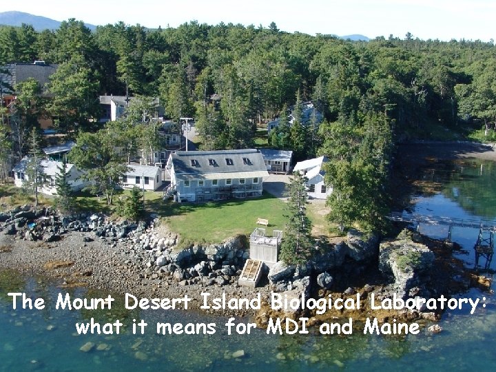 The Mount Desert Island Biological Laboratory: what it means for MDI and Maine 