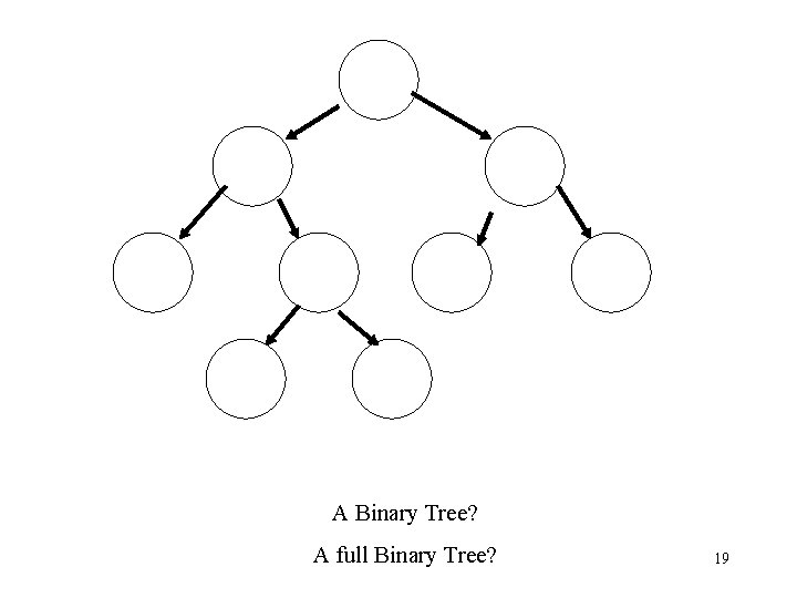 A Binary Tree? A full Binary Tree? 19 