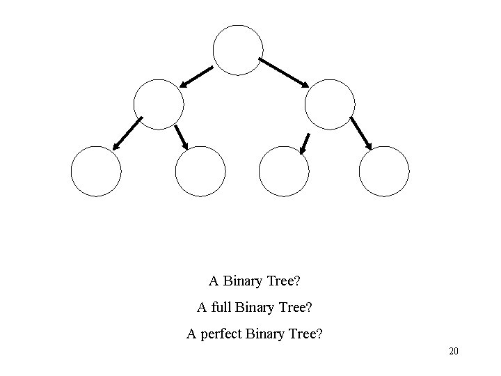 A Binary Tree? A full Binary Tree? A perfect Binary Tree? 20 