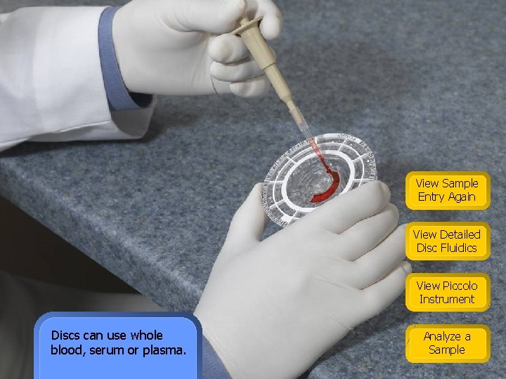 View Sample Entry Again View Detailed Disc Fluidics View Piccolo Instrument Discs can use
