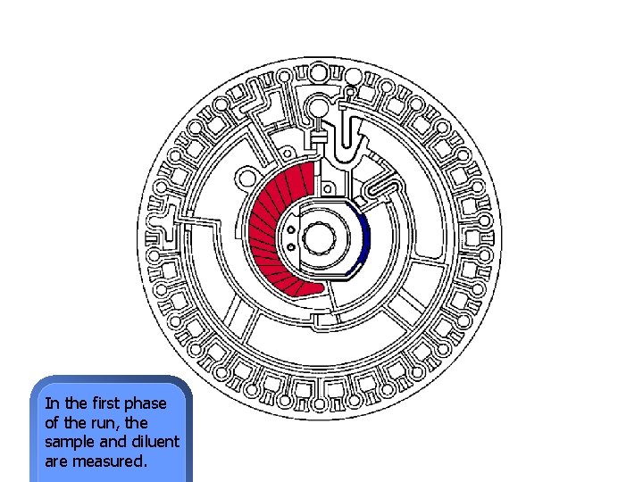 In the first phase of the run, the sample and diluent are measured. 