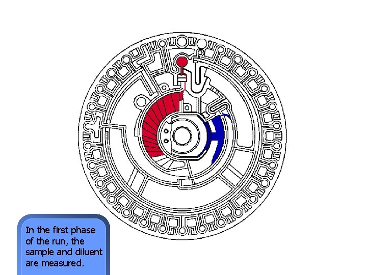 In the first phase of the run, the sample and diluent are measured. 