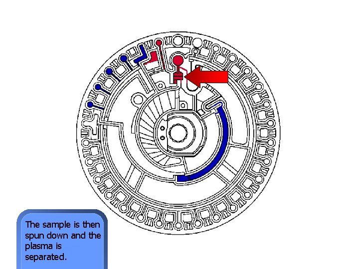 The sample is then spun down and the plasma is separated. 