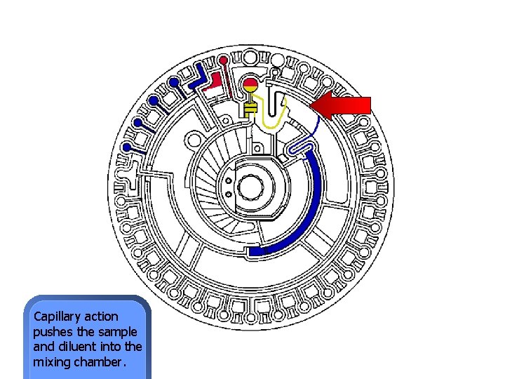 Capillary action pushes the sample and diluent into the mixing chamber. 