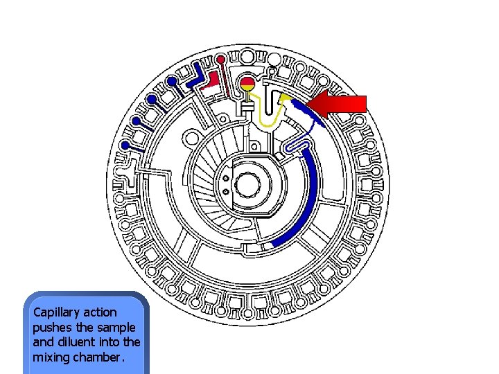 Capillary action pushes the sample and diluent into the mixing chamber. 