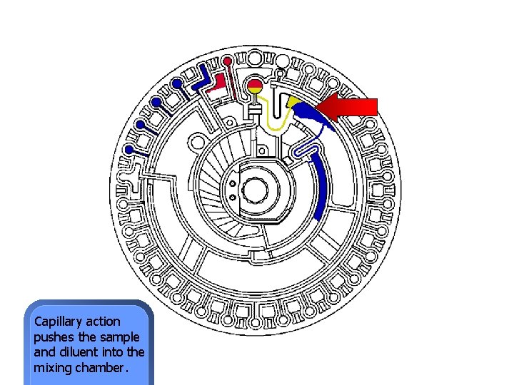 Capillary action pushes the sample and diluent into the mixing chamber. 