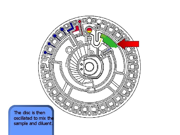 The disc is then oscillated to mix the sample and diluent. 