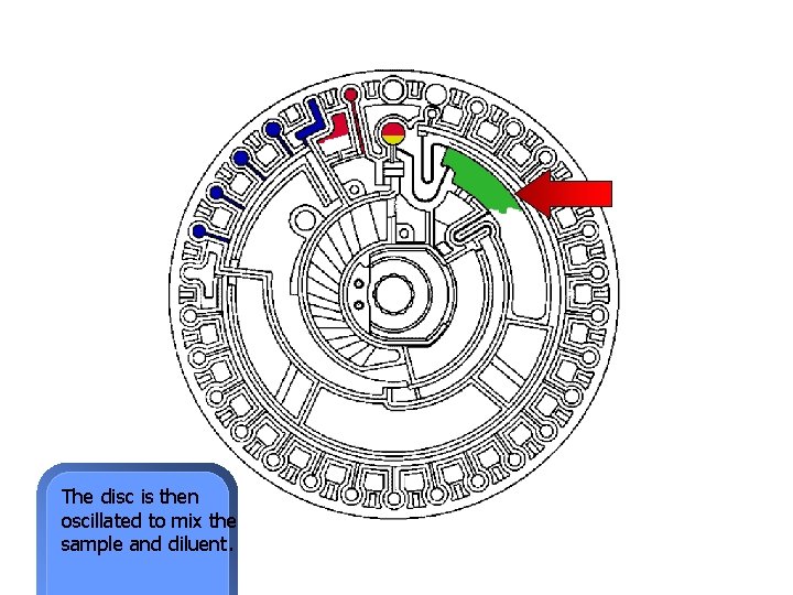 The disc is then oscillated to mix the sample and diluent. 