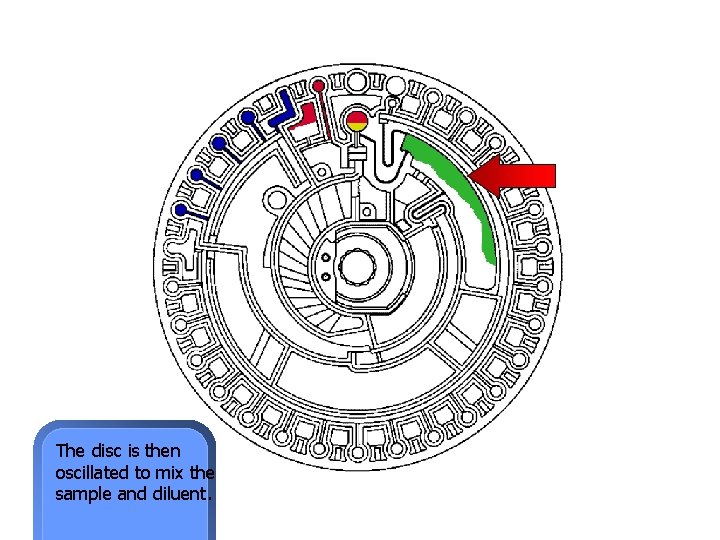 The disc is then oscillated to mix the sample and diluent. 