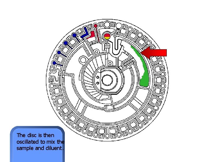 The disc is then oscillated to mix the sample and diluent. 