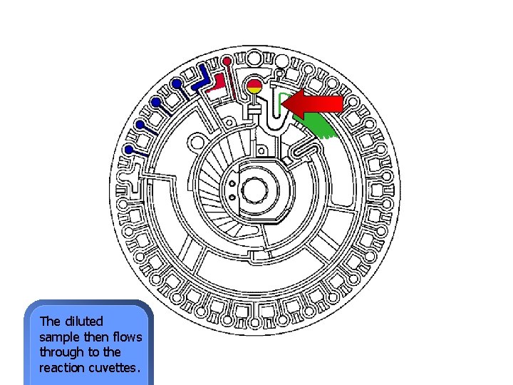The diluted sample then flows through to the reaction cuvettes. 
