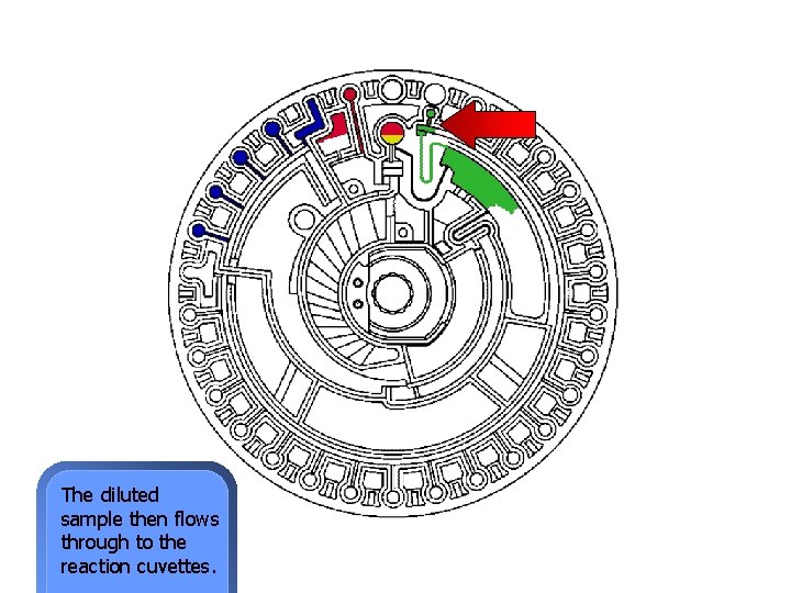 The diluted sample then flows through to the reaction cuvettes. 
