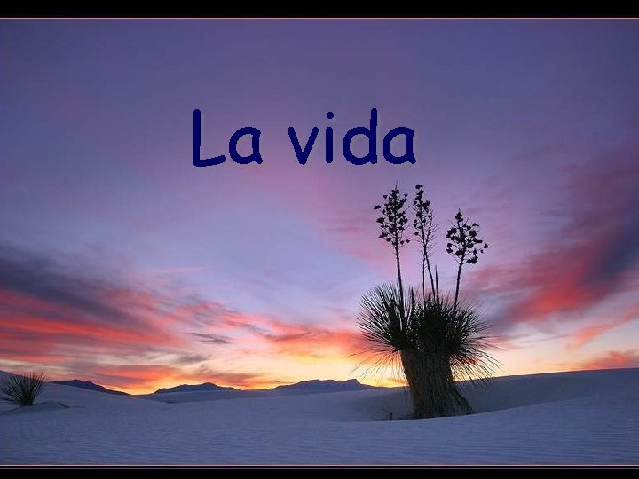 La vida 