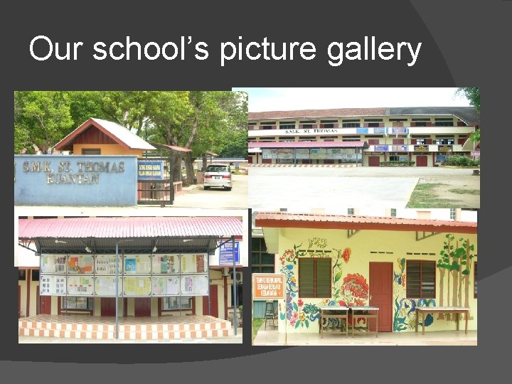 Our school’s picture gallery 