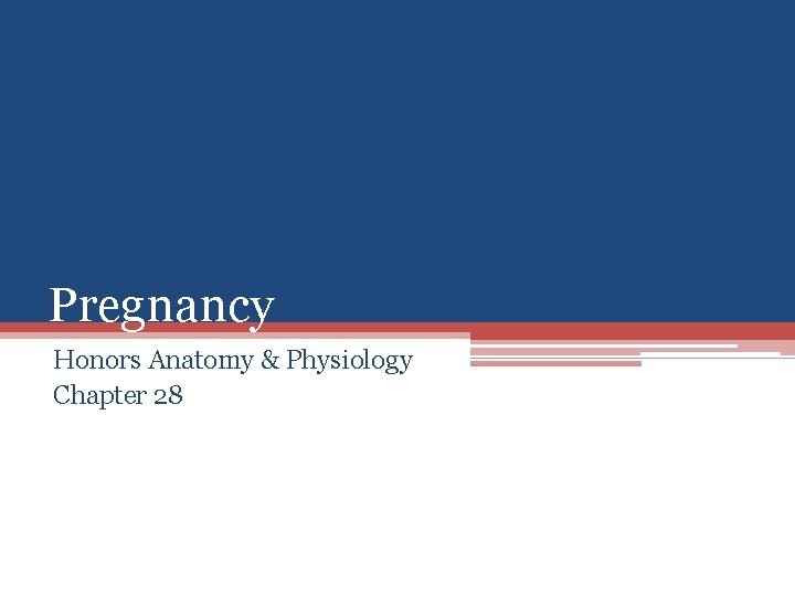 Pregnancy Honors Anatomy & Physiology Chapter 28 