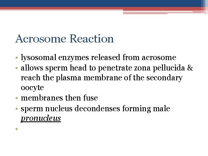 Acrosome Reaction • lysosomal enzymes released from acrosome • allows sperm head to penetrate