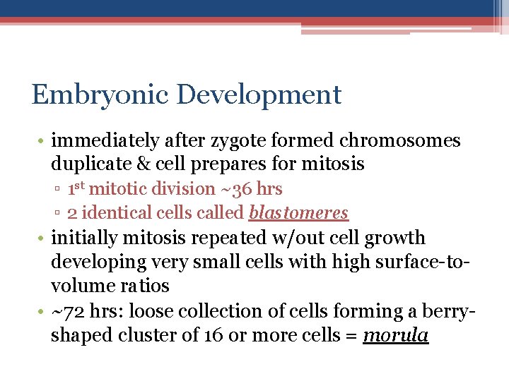 Embryonic Development • immediately after zygote formed chromosomes duplicate & cell prepares for mitosis