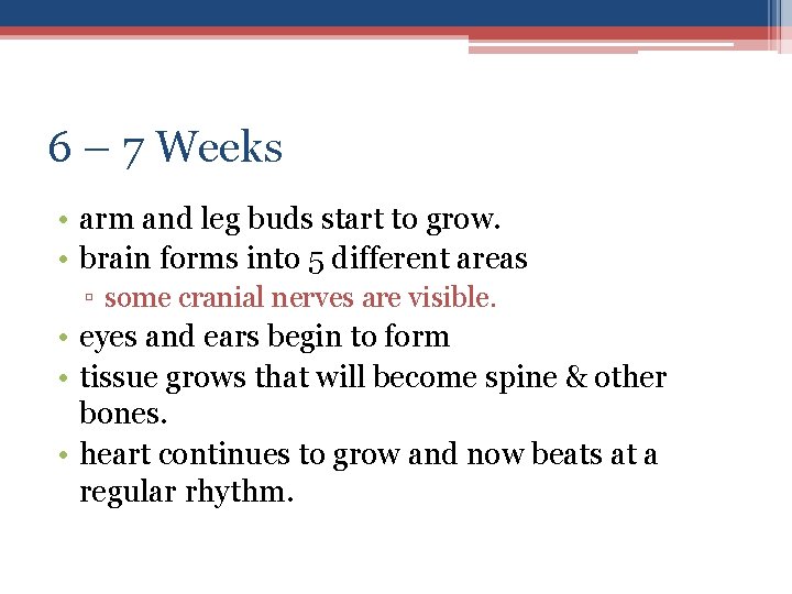 6 – 7 Weeks • arm and leg buds start to grow. • brain