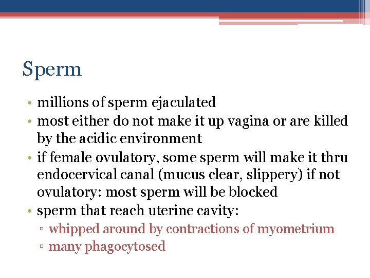 Sperm • millions of sperm ejaculated • most either do not make it up