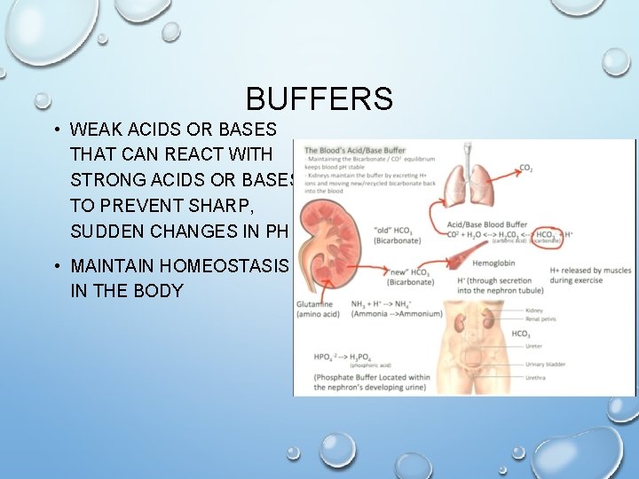 BUFFERS • WEAK ACIDS OR BASES THAT CAN REACT WITH STRONG ACIDS OR BASES