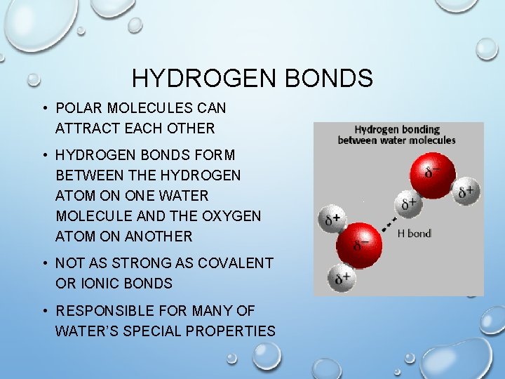 HYDROGEN BONDS • POLAR MOLECULES CAN ATTRACT EACH OTHER • HYDROGEN BONDS FORM BETWEEN