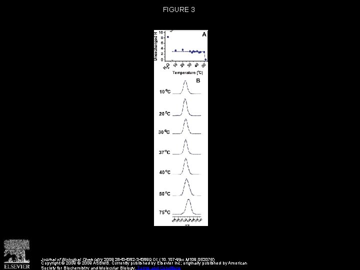 FIGURE 3 Journal of Biological Chemistry 2009 28434382 -34389 DOI: (10. 1074/jbc. M 109.