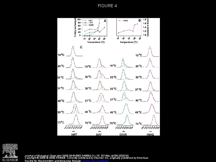 FIGURE 4 Journal of Biological Chemistry 2009 28434382 -34389 DOI: (10. 1074/jbc. M 109.