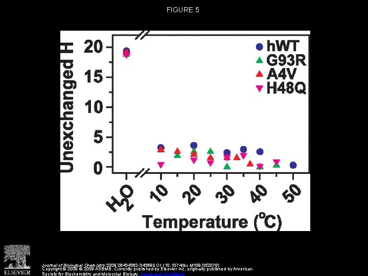 FIGURE 5 Journal of Biological Chemistry 2009 28434382 -34389 DOI: (10. 1074/jbc. M 109.