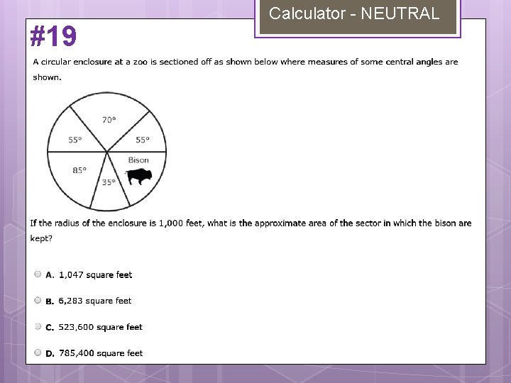 #19 Calculator - NEUTRAL 