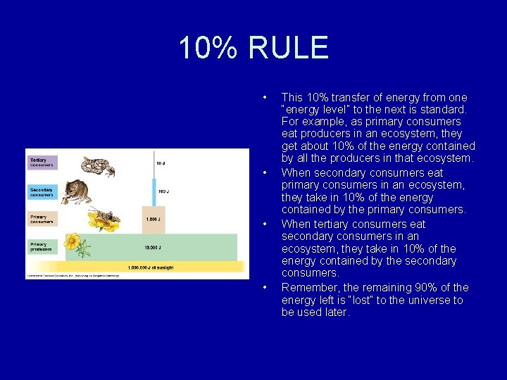 10% RULE • • This 10% transfer of energy from one “energy level” to