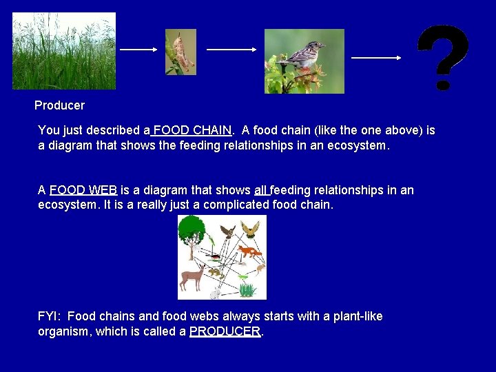 Producer You just described a FOOD CHAIN. A food chain (like the one above)