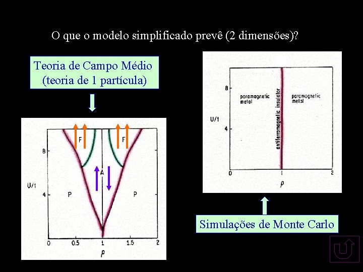 O que o modelo simplificado prevê (2 dimensões)? Teoria de Campo Médio (teoria de