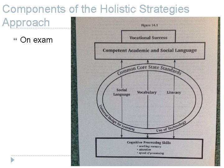 Components of the Holistic Strategies Approach On exam 