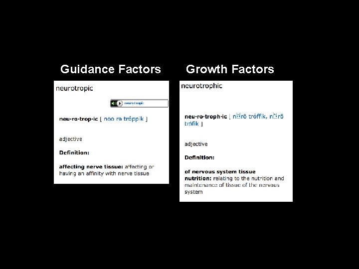 Guidance Factors Growth Factors 