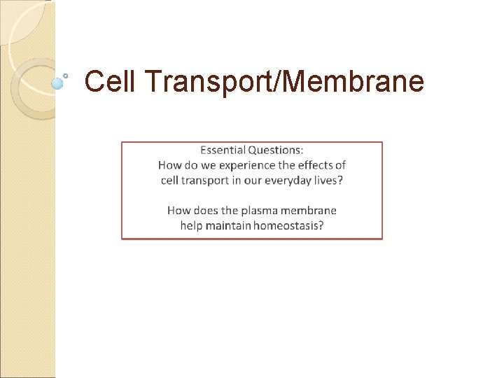 Cell Transport/Membrane 