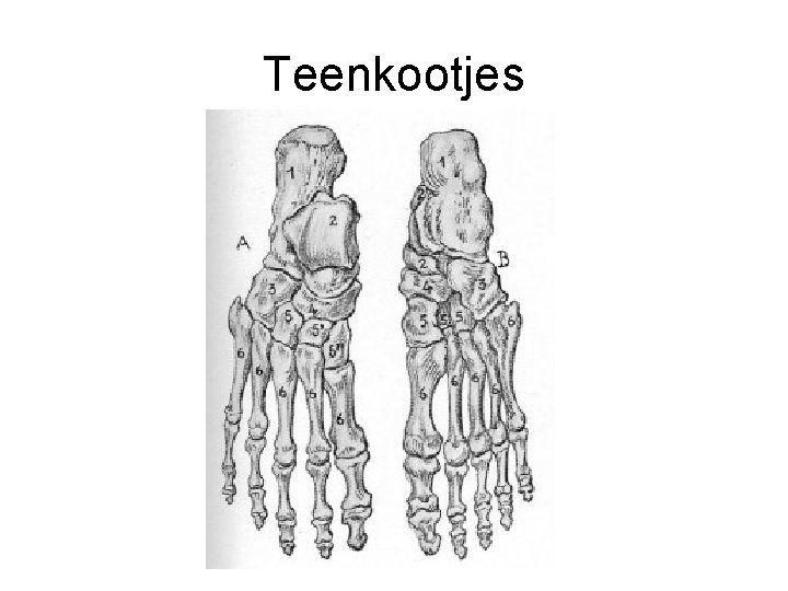 Teenkootjes 