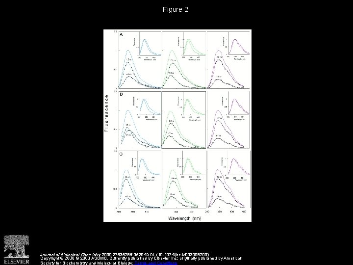 Figure 2 Journal of Biological Chemistry 2000 27536285 -36294 DOI: (10. 1074/jbc. M 003008200)