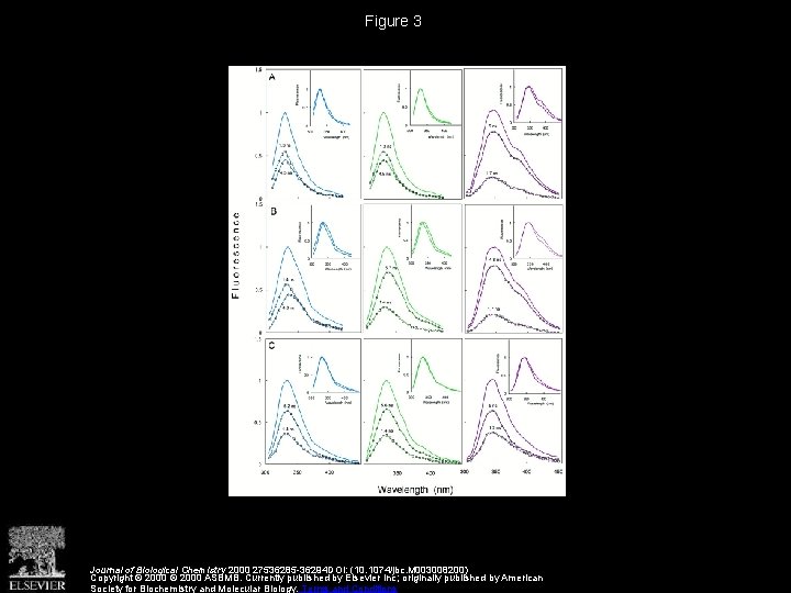 Figure 3 Journal of Biological Chemistry 2000 27536285 -36294 DOI: (10. 1074/jbc. M 003008200)