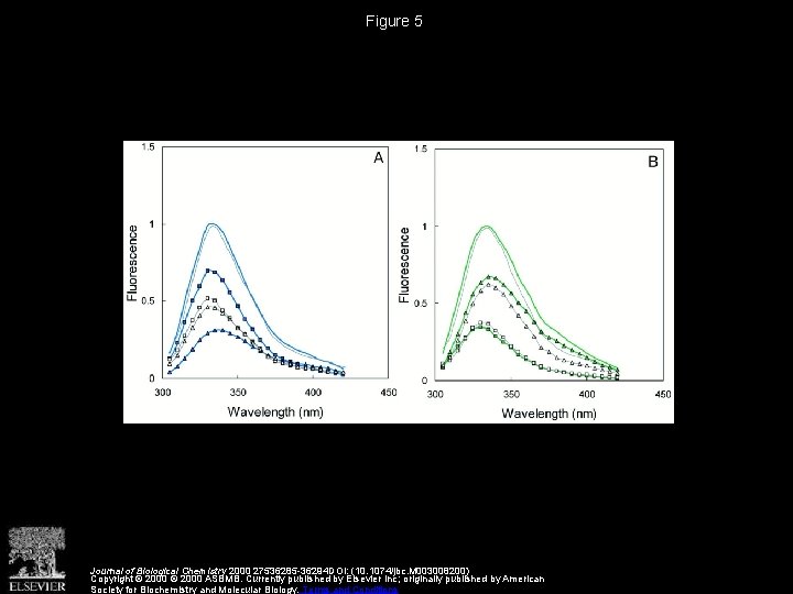 Figure 5 Journal of Biological Chemistry 2000 27536285 -36294 DOI: (10. 1074/jbc. M 003008200)