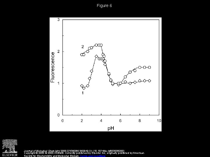 Figure 6 Journal of Biological Chemistry 2000 27536285 -36294 DOI: (10. 1074/jbc. M 003008200)