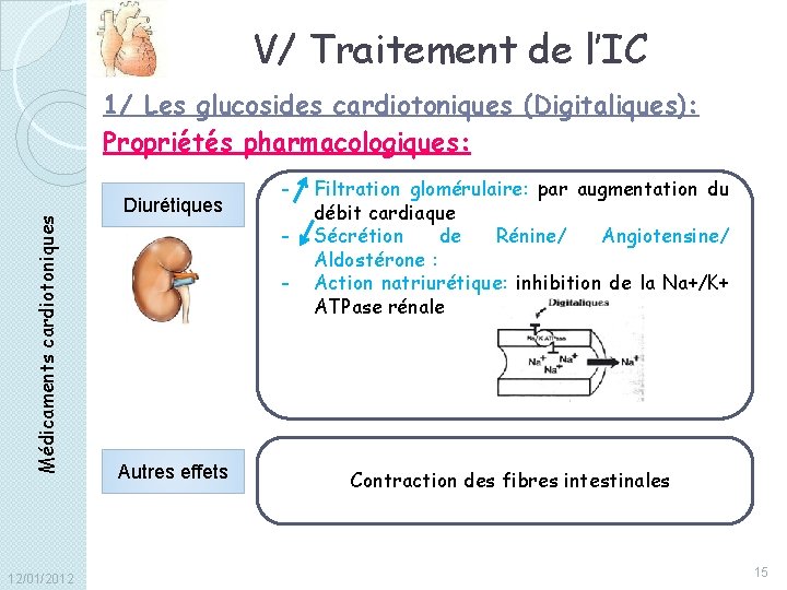 V/ Traitement de l’IC Médicaments cardiotoniques 1/ Les glucosides cardiotoniques (Digitaliques): Propriétés pharmacologiques: 12/01/2012