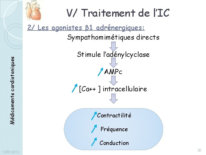 V/ Traitement de l’IC Médicaments cardiotoniques 2/ Les agonistes β 1 adrénergiques: Sympathomimétiques directs