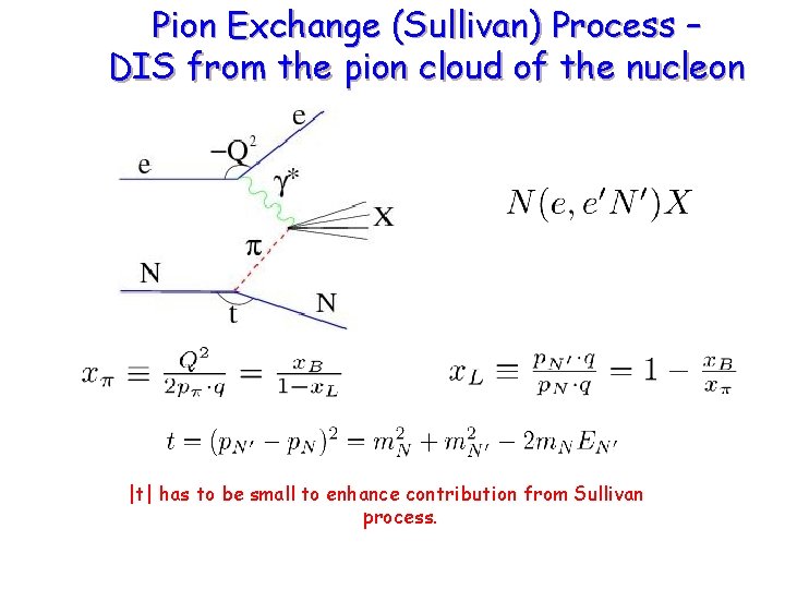 Pion Exchange (Sullivan) Process – DIS from the pion cloud of the nucleon |t|