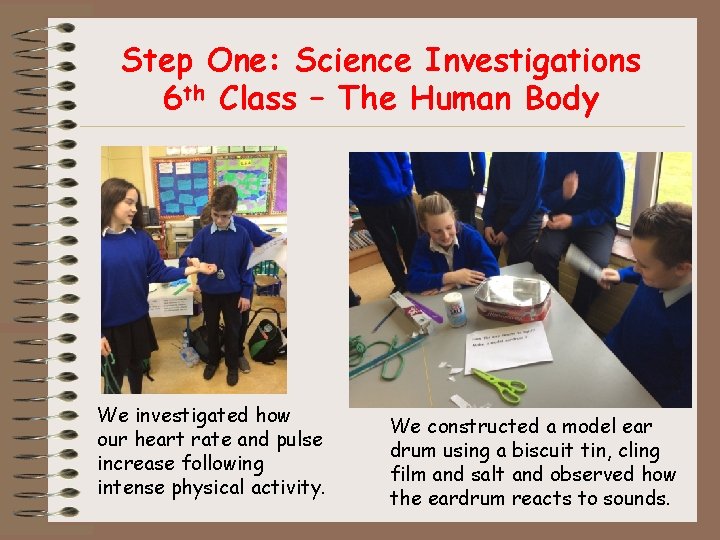 Step One: Science Investigations 6 th Class – The Human Body We investigated how