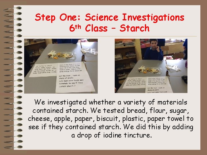Step One: Science Investigations 6 th Class – Starch We investigated whether a variety