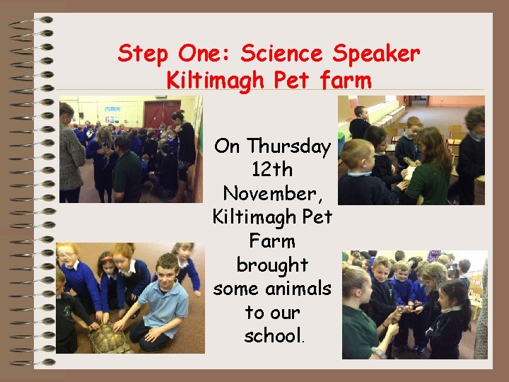 Step One: Science Speaker Kiltimagh Pet farm On Thursday 12 th November, Kiltimagh Pet